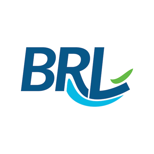 conversão BRL USD