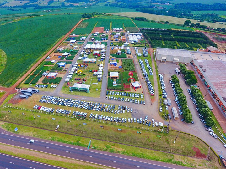 erros comuns ao investir em ccaí