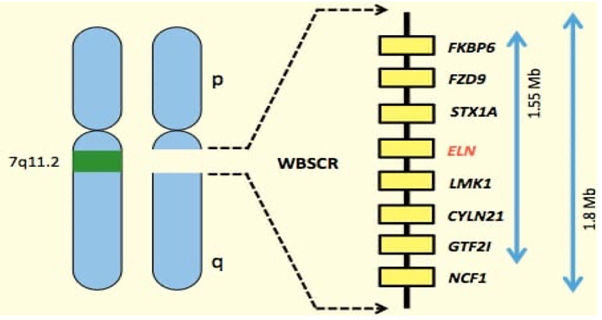 melhores investimentos debêntures Cromossomo Participações