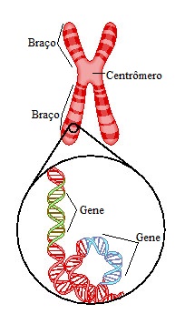 riscos investir debêntures CRMP Cromossomo