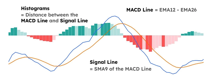erros comuns ao usar o indicador macd