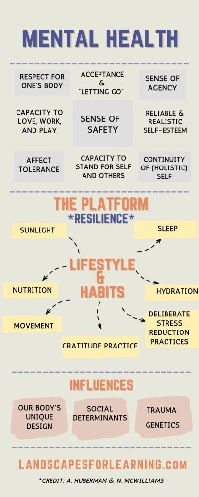 MENTAL HEALTH PARTICIPACOES S.A. MENTAL HEALT MHPA