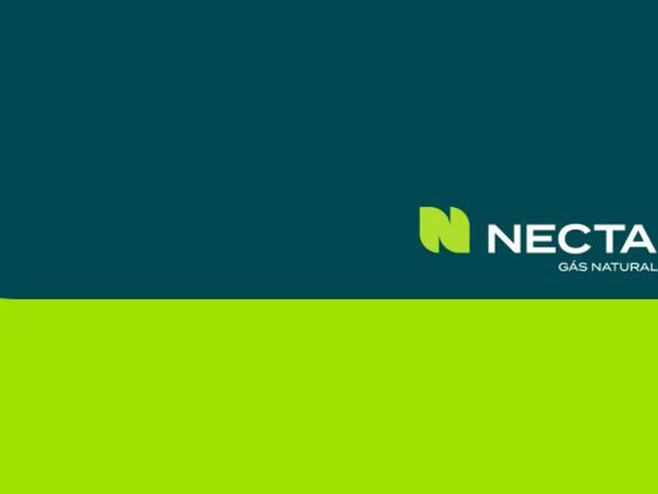necta gás natural versus outras distribuidoras