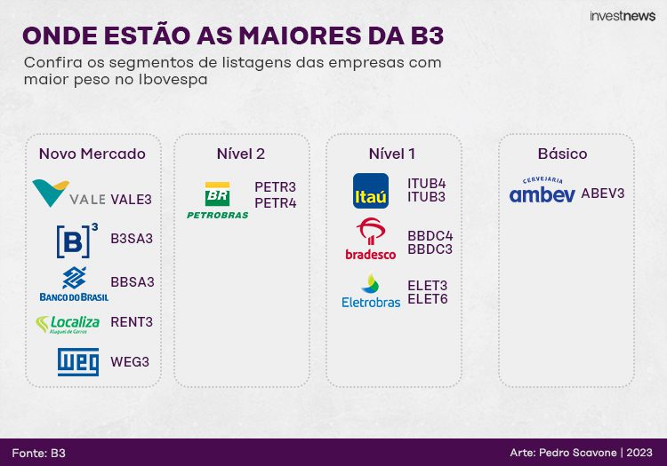 novo mercado b3