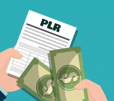 plr significado