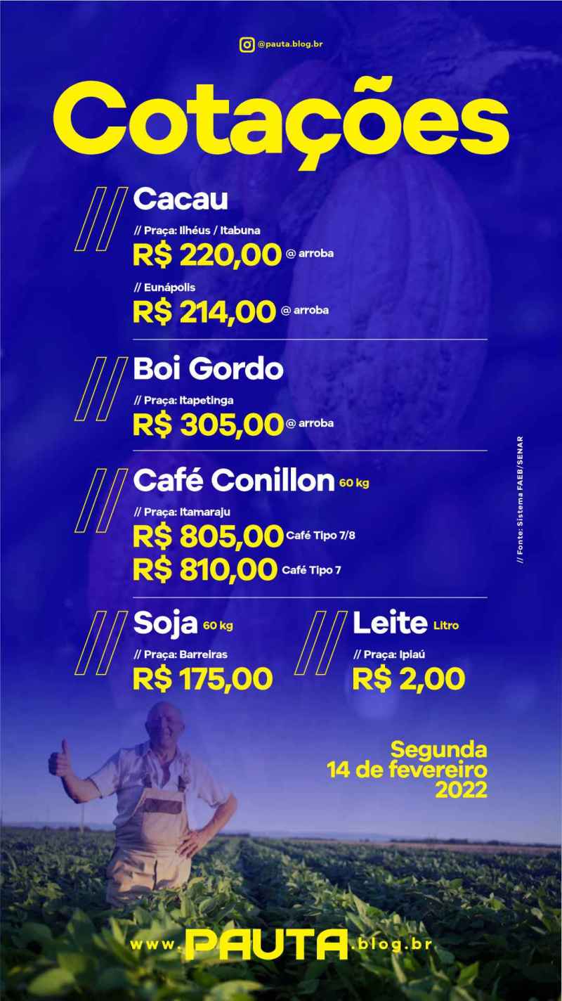 cotação cacau Espírito Santo