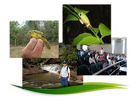 melhores investimentos energia renovavel brasil