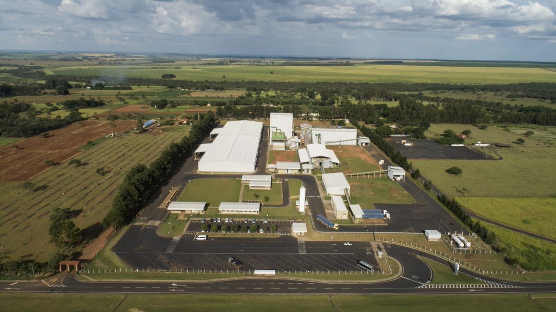 melhores práticas produção sementes satus ager