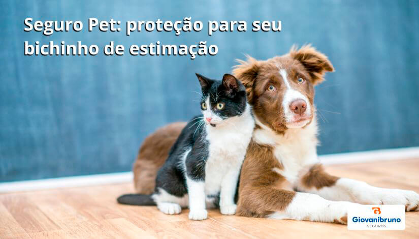 seguro de vida para amantes de animais