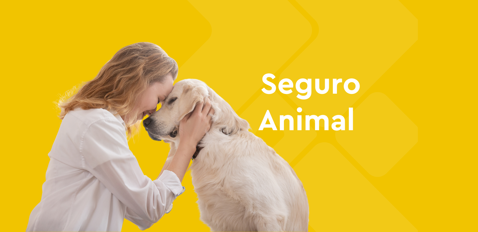 melhores seguros de vida com assistência pet