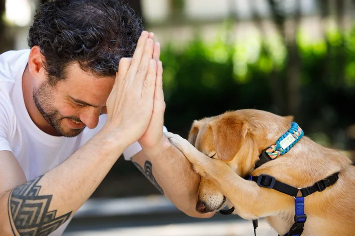 seguro para adestradores de cães