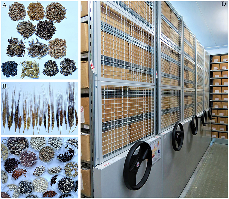 bancos de sementes globais para proteger a biodiversidade