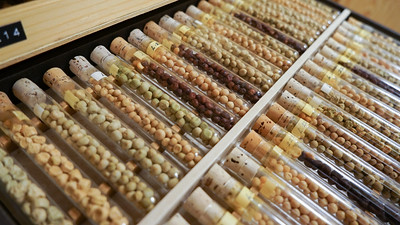 erros comuns ao armazenar sementes em bancos