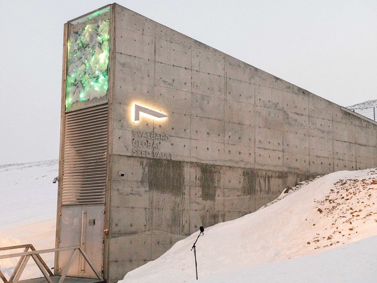 cofre global de sementes vs bancos de sementes regionais