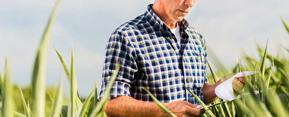 tipos de seguro safra para pequenos produtores