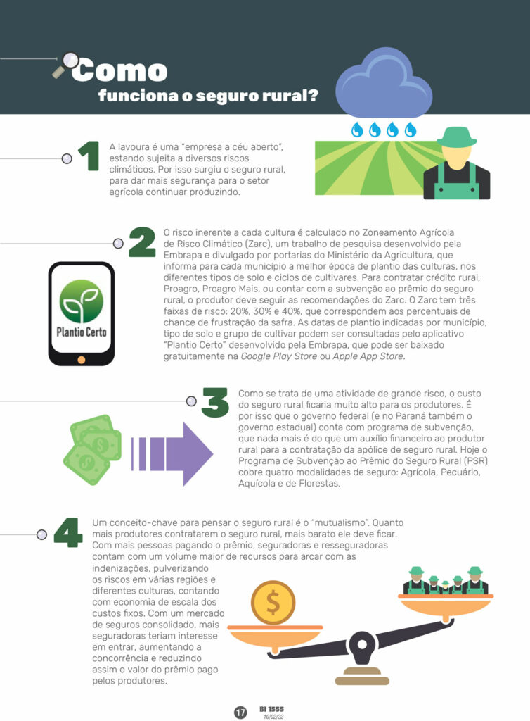 erros comuns ao solicitar seguro safra