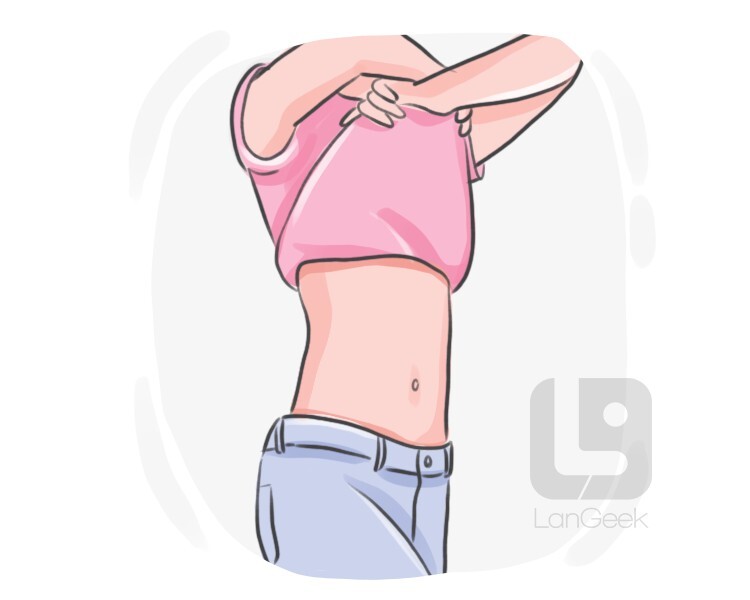 strip set musculação
