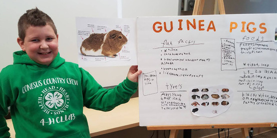 erros ao investir em debêntures TTCH4