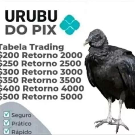 golpe do urubu pix