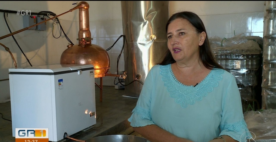 problemas ambientais usina são francisco sertãozinho