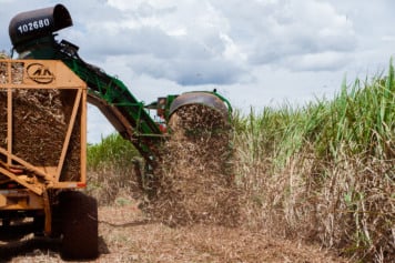 investir ações usina são francisco balbo