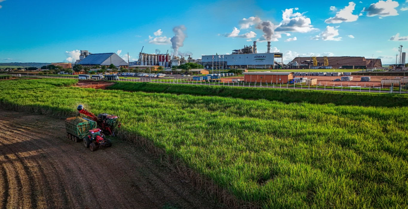 investimentos cmaa vale do tijuco retorno