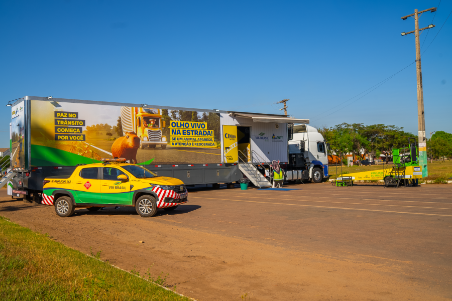 br 163 vs br 116 qual a melhor rota